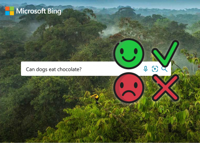 Bing odgovara na pitanja koja mu se postave na tražilici