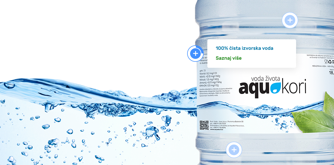Izrada web stranice za Aquakori