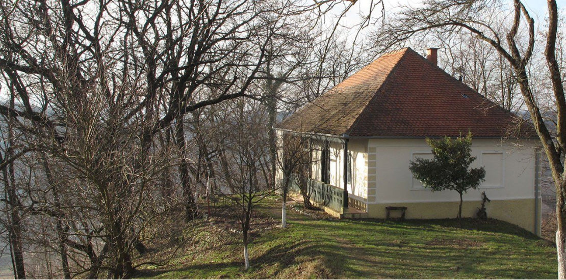 Izrada web stranice za kuriju Njeguš